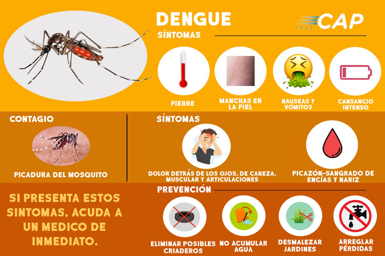  DENGUE: DISMINUYERON LOS CASOS EN CÓRDOBA
