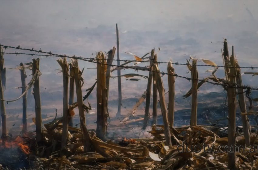  INCENDIO EN CAMPO AFECTÓ 200 HECTÁREAS