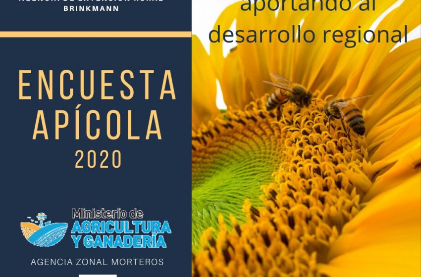  ENCUESTA APÍCOLA 2020