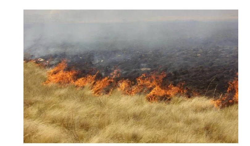  Incendios en zona rural