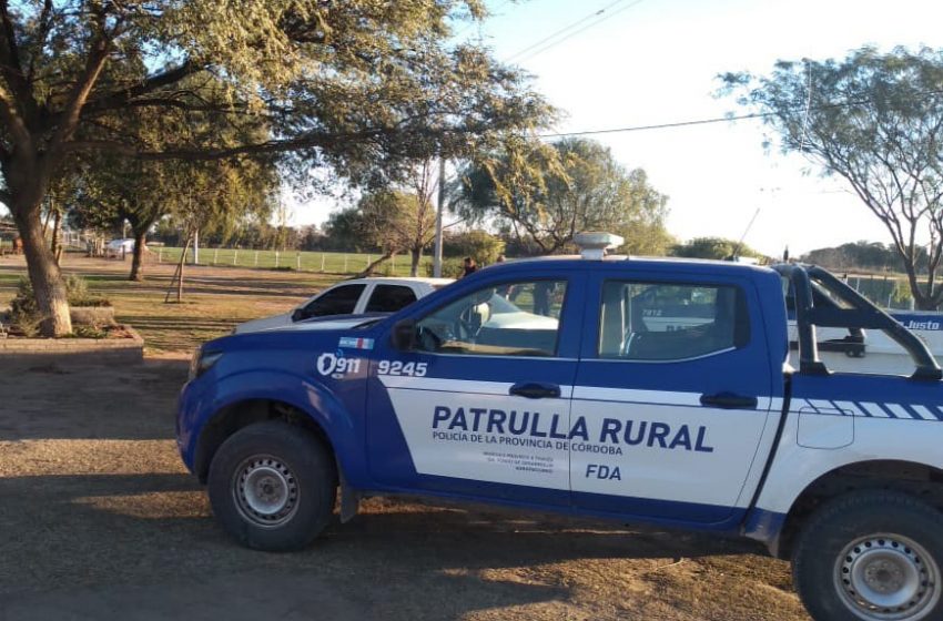  En importante operativo recuperan animales y secuestran arma de fuego